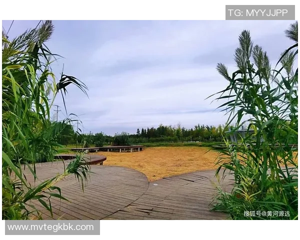 在秋色美景中痛快运动,奉贤海湾镇这一活动不容错失